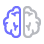 Orange County SEO Company. Brain graphic.