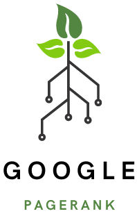 Google PageRank. Google Page rank is one of the critical features of SEO basics.