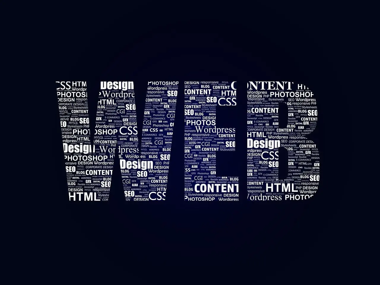 WordPress plugin development uses many different software.