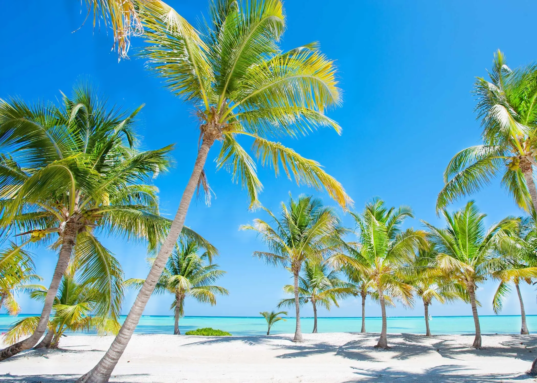 Beach area with a lot of sunlight.