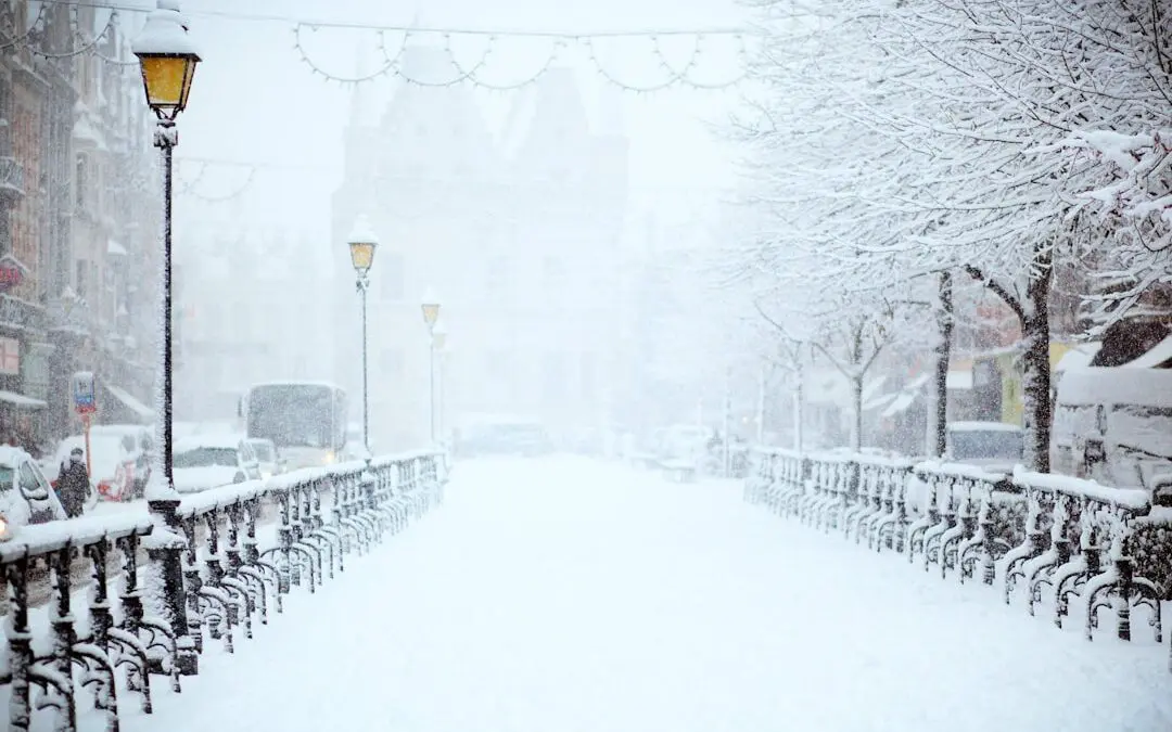 Seasonal Animations: Enchanting Winter Wonderlands