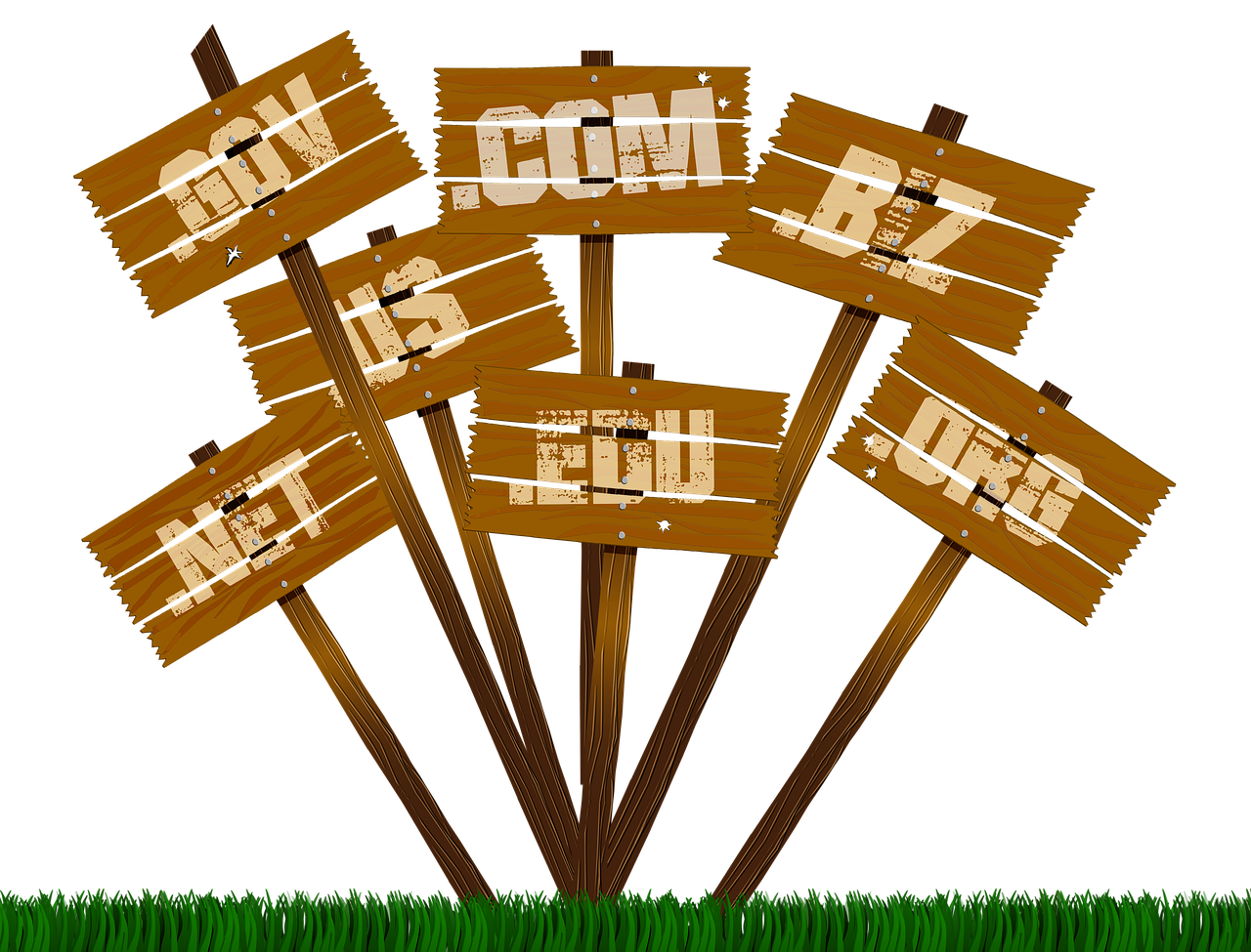 All websites need to be hosted on a server.