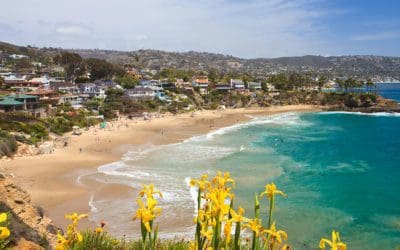 Orange County WordPress Web Design