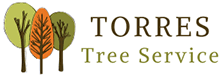 Torres tree services