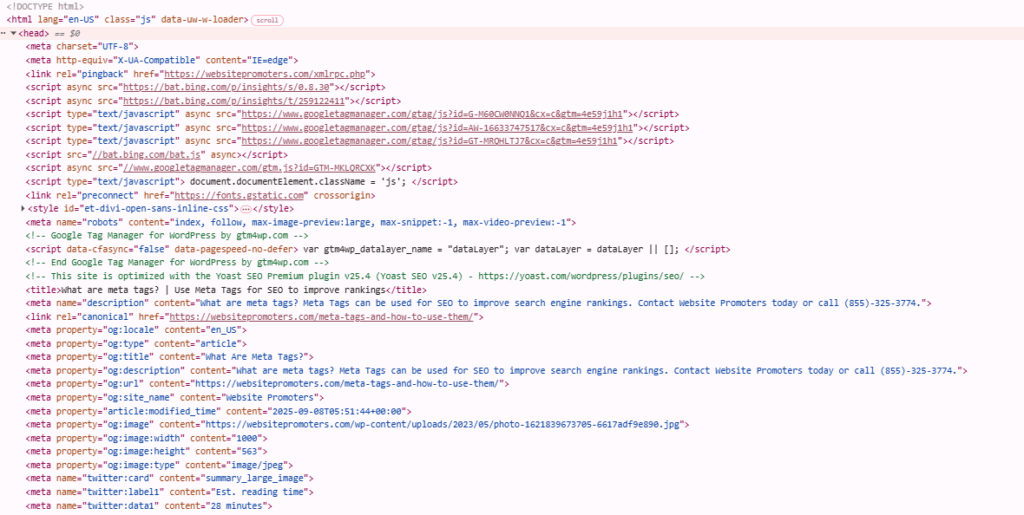 Meta tags are crucial for SEO