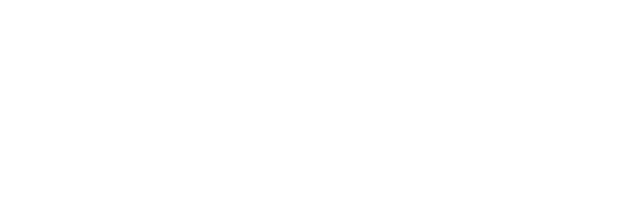 Website Promoters logo
