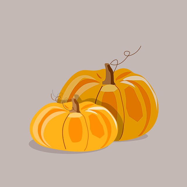 An animation of two pumpkins with a gray background. 
